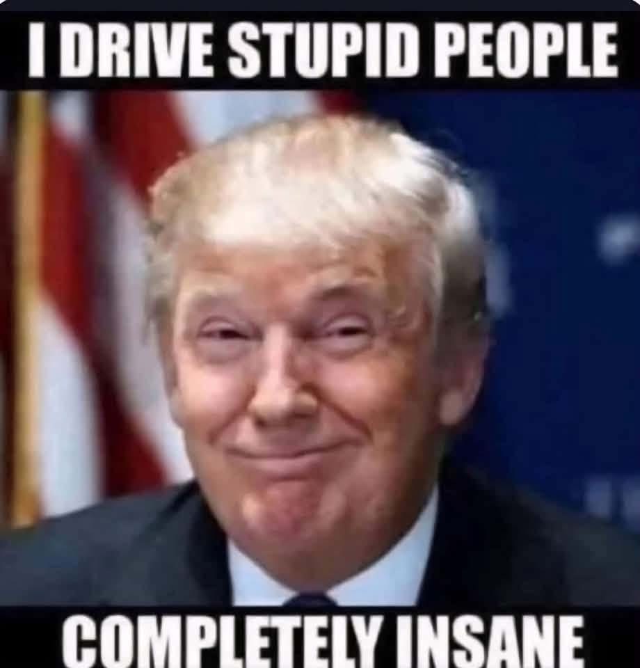 I drive stupid people completely insane